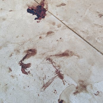 Mission Veterinary Clinic - This was just a small amount of suffering this poor dog was subjected to. - Veterinarians Near Me - Rio Rancho, New Mexico