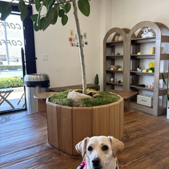 Ssum Coffee - interior seating - Coffee & Tea Near Me - Anaheim, California