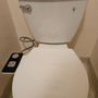 Photo of Aquaman Rooter & Plumbing