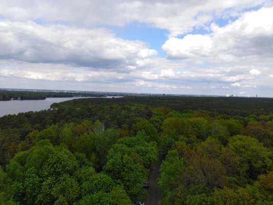Grunewald by null