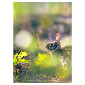 RABBIT HILL PARK - Updated January 2026 - 68 Photos & 30 Reviews - 400 ...