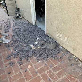 Dryer Vent Cleaning Pro - This is how bad was my dryer duct. - Air Duct Cleaning Near Me
