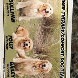 Southern Style Grooming - Sullivan,Folly and Sullivan