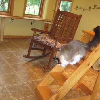 Cat's Cottage Inn - Playroom - Pet Sitting Near Me - New Richland, Minnesota