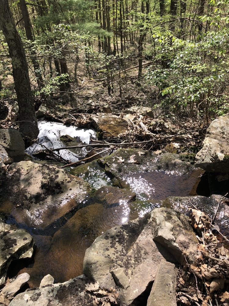 BEAR CREEK PRESERVE NATURAL LANDS Updated May 2024 15 Photos 47