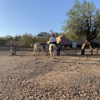 Bettys Trail Rides - Horseback Riding Near Me