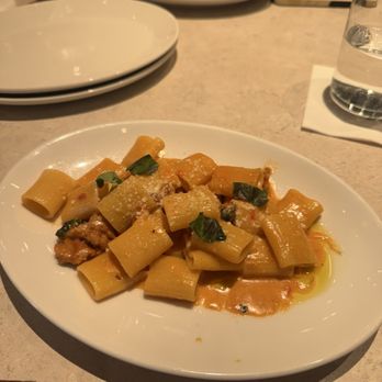 Piccolo Buco by Cooper's Hawk - The rigatoni - Wine Bars Near Me - Tampa, Florida Piccolo Buco by Cooper's Hawk - The rigatoni - Wine Bars Near Me - Tampa, Florida