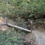 Photo of Coal Mine Ridge Nature Preserve