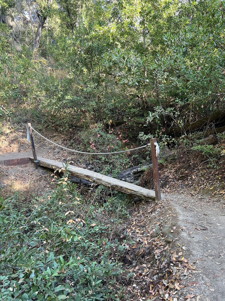Coal Mine Ridge Nature Preserve Logo
