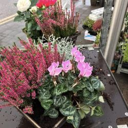 Ballincollig Farmers Market