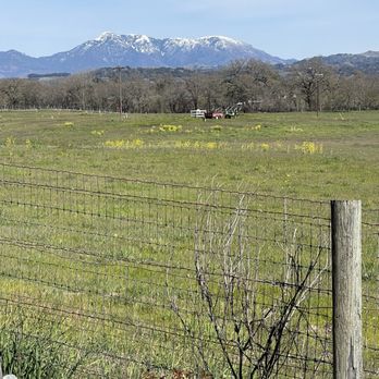 Bricoleur Vineyards - Expansive views - Wineries Near Me - Windsor, California