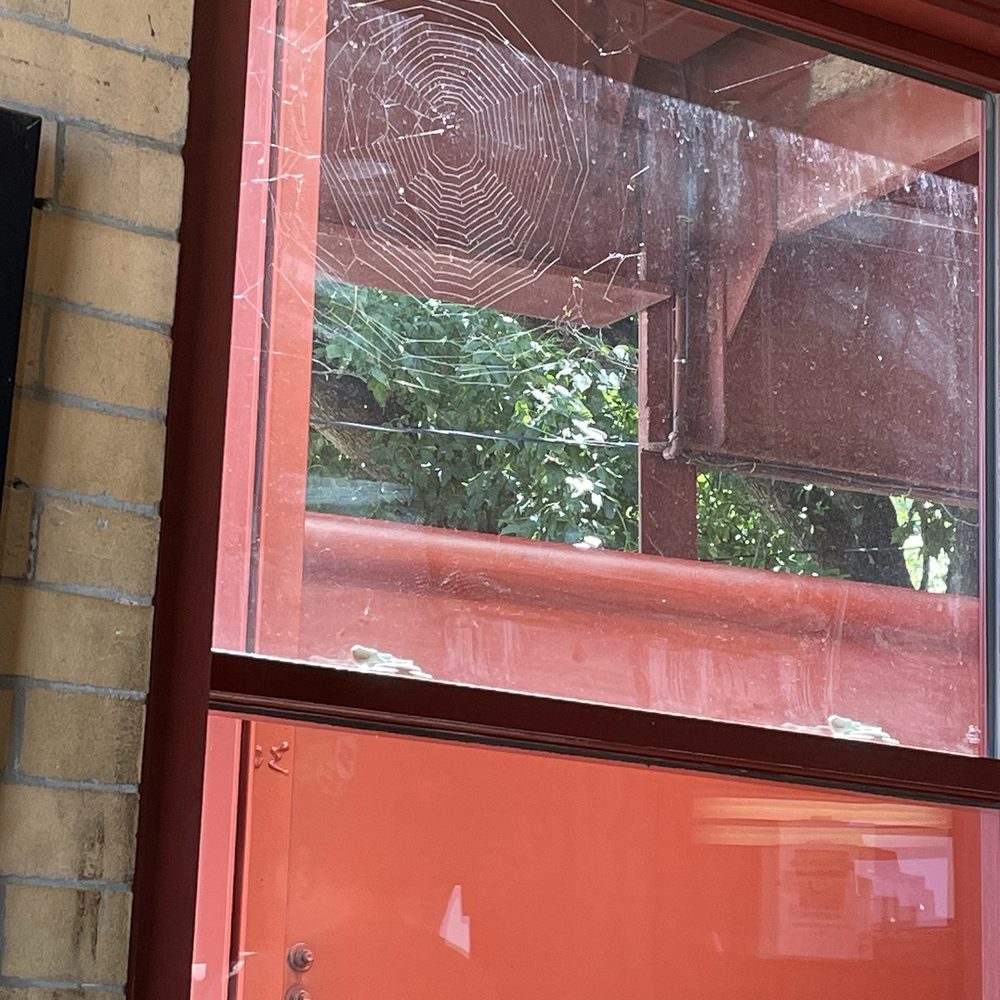 Duquesne Incline - Spider is eating good! - Landmarks & Historical Buildings Near Me - Pittsburgh, Pennsylvania Duquesne Incline - Spider is eating good! - Landmarks & Historical Buildings Near Me - Pittsburgh, Pennsylvania
