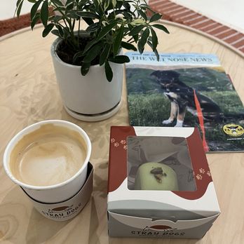 Stray Dogs Coffee Roasters - Corn dog coffee & pistachio pastry - Coffee Roasteries Near Me - Riverside, California Stray Dogs Coffee Roasters - Corn dog coffee & pistachio pastry - Coffee Roasteries Near Me - Riverside, California