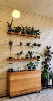 Homage Coffee by null