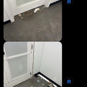 Buddies - Pet Groomers Near Me - Las Vegas, Nevada