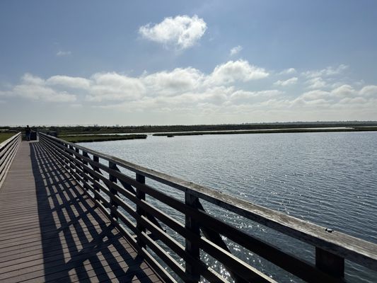 Bolsa Chica Ecological Reserve by null