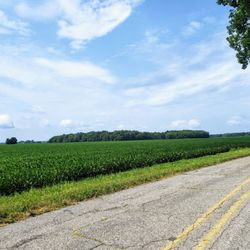 Village of Blissfield - Scene in Ogden Twp.