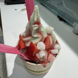 Frozen Yogurt