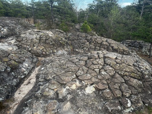Petit Jean State Park Lake by null