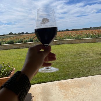 Becker Vineyards - Huge field of flowers - Wine Tasting Room Near Me - Fredericksburg, Texas Becker Vineyards - Huge field of flowers - Wine Tasting Room Near Me - Fredericksburg, Texas