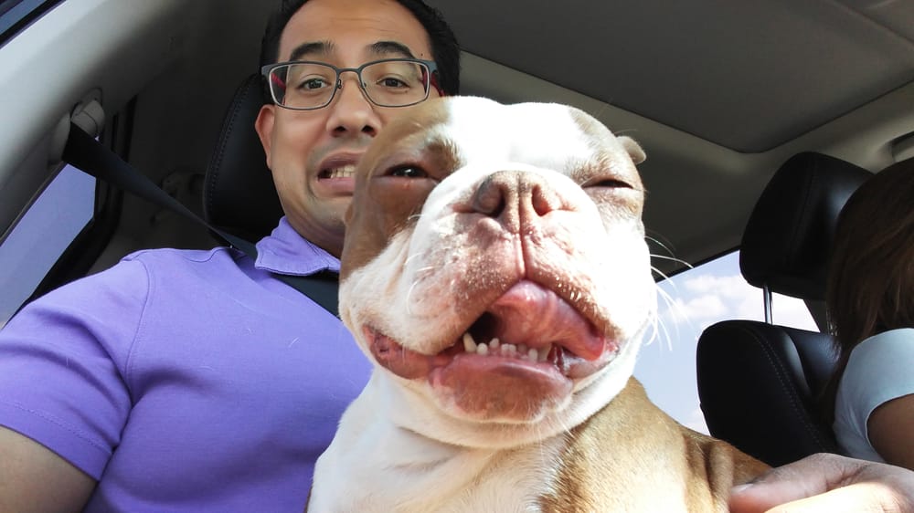 Slide of CJ's Roofing