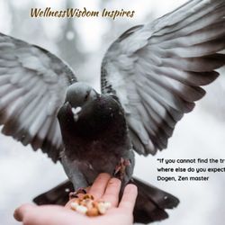 WellnessWisdom Inspires