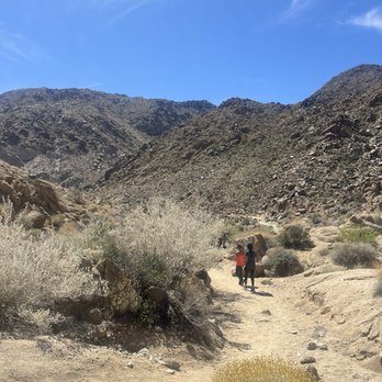 Fortynine Palms Oasis - Easy trail - Hiking Near Me - Twentynine Palms, California