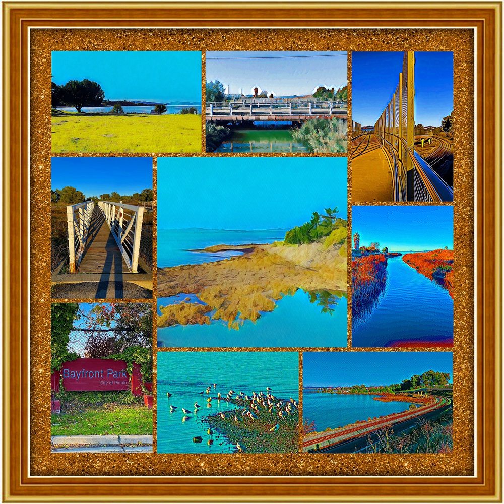 Bayfront Park - Montage of images from Bayfront Park - Parks Near Me - Pinole, California Bayfront Park - Montage of images from Bayfront Park - Parks Near Me - Pinole, California