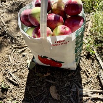 Meadows Farms - Fruits & Veggies Near Me - Forestville, New York Meadows Farms - Fruits & Veggies Near Me - Forestville, New York