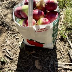 Meadows Farms
