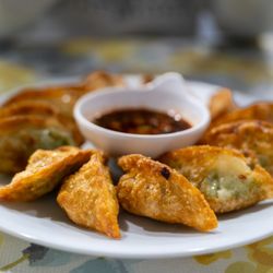 Best Dumplings