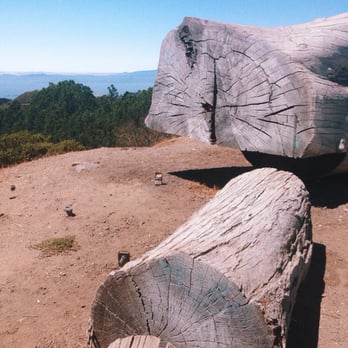 Grizzly Peak - on the other side is actually a small bench made into one of these. - Hiking Near Me - Berkeley, California Grizzly Peak - on the other side is actually a small bench made into one of these. - Hiking Near Me - Berkeley, California
