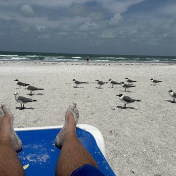 Sheraton - Renting some chairs on the beach! - Resorts Near Me - Clearwater Beach, Florida Sheraton - Renting some chairs on the beach! - Resorts Near Me - Clearwater Beach, Florida