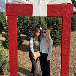 Pumpkin City's Christmas Trees