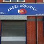 Photo of Angel Aquatics