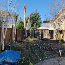 New Lawn Care & Landscape
