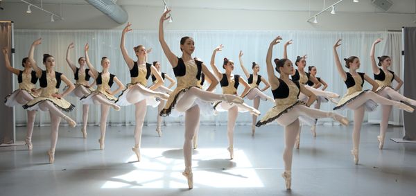 New Jersey Dance Theatre Ensemble Inc