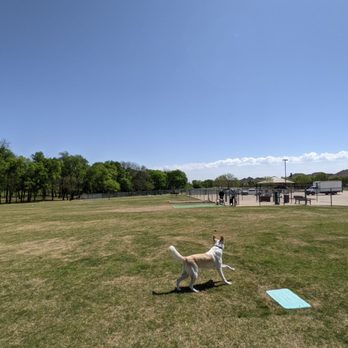 Freedom Dog Park - Large Dog Park - Dog Parks Near Me - Trophy Club, Texas