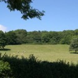 Plymouth Great Woods - Photo from http://www.cardiff.gov.uk
