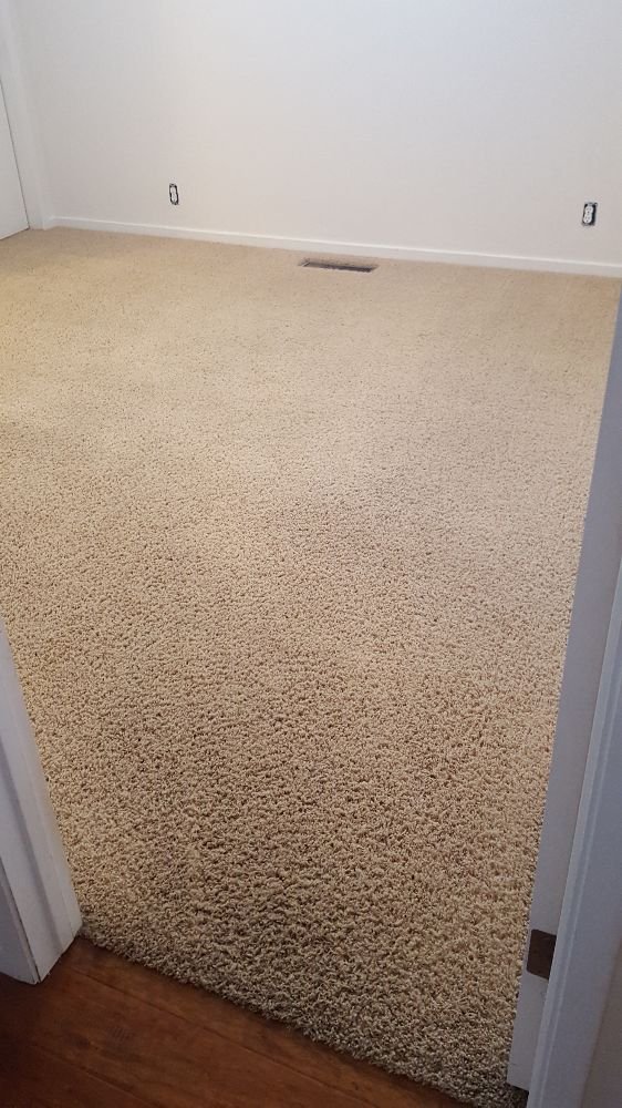 CHICO CARPET AND UPHOLSTERY CLEANING Updated September 2024 28