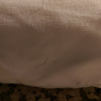 Residence Inn St. Louis O'Fallon - Hair on bedding - Hotels Near Me - O'Fallon, Missouri Residence Inn St. Louis O'Fallon - Hair on bedding - Hotels Near Me - O'Fallon, Missouri