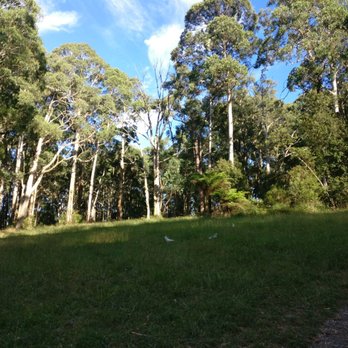 1000 Steps - Hiking Near Me - Upper Ferntree Gully, VIC 1000 Steps - Hiking Near Me - Upper Ferntree Gully, VIC