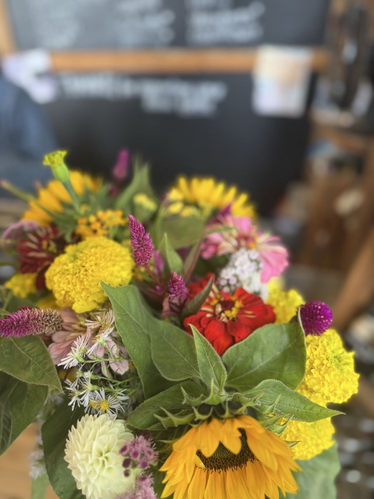 Andrews Family Farm & Greenhouses  Logo