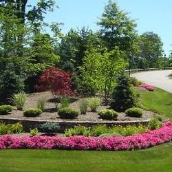 Agnew's Lawn Care