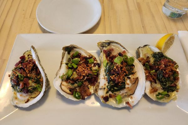 North Beacon Oyster by null