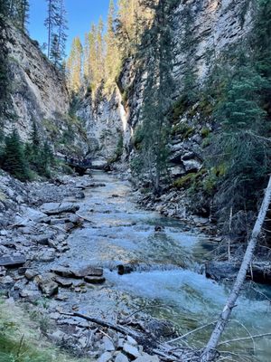 Johnston Canyon by null