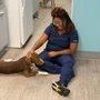 Silver Star Animal Hospital