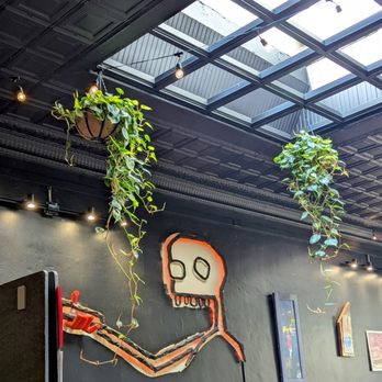 The Eleventh House - Coffee & Tea Near Me - Lafayette, Indiana The Eleventh House - Coffee & Tea Near Me - Lafayette, Indiana