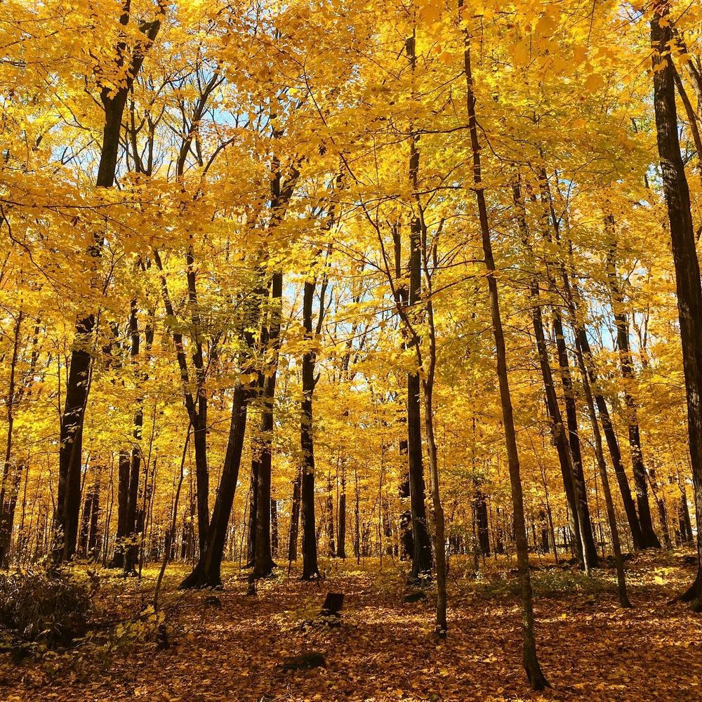HORICON LEDGE PARK 20 Photos N7403 Park Rd, Horicon, Wisconsin