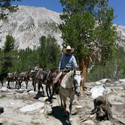 Glacier Pack Train - We will pack you into Big Pine Lakes.